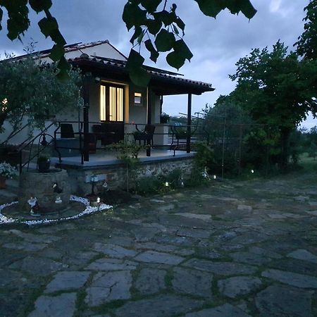 Apartma Vista Baredi Izola Ngoại thất bức ảnh