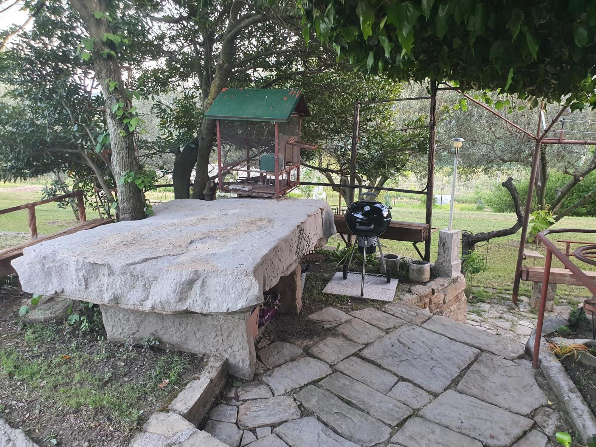 Apartma Vista Baredi Izola Ngoại thất bức ảnh